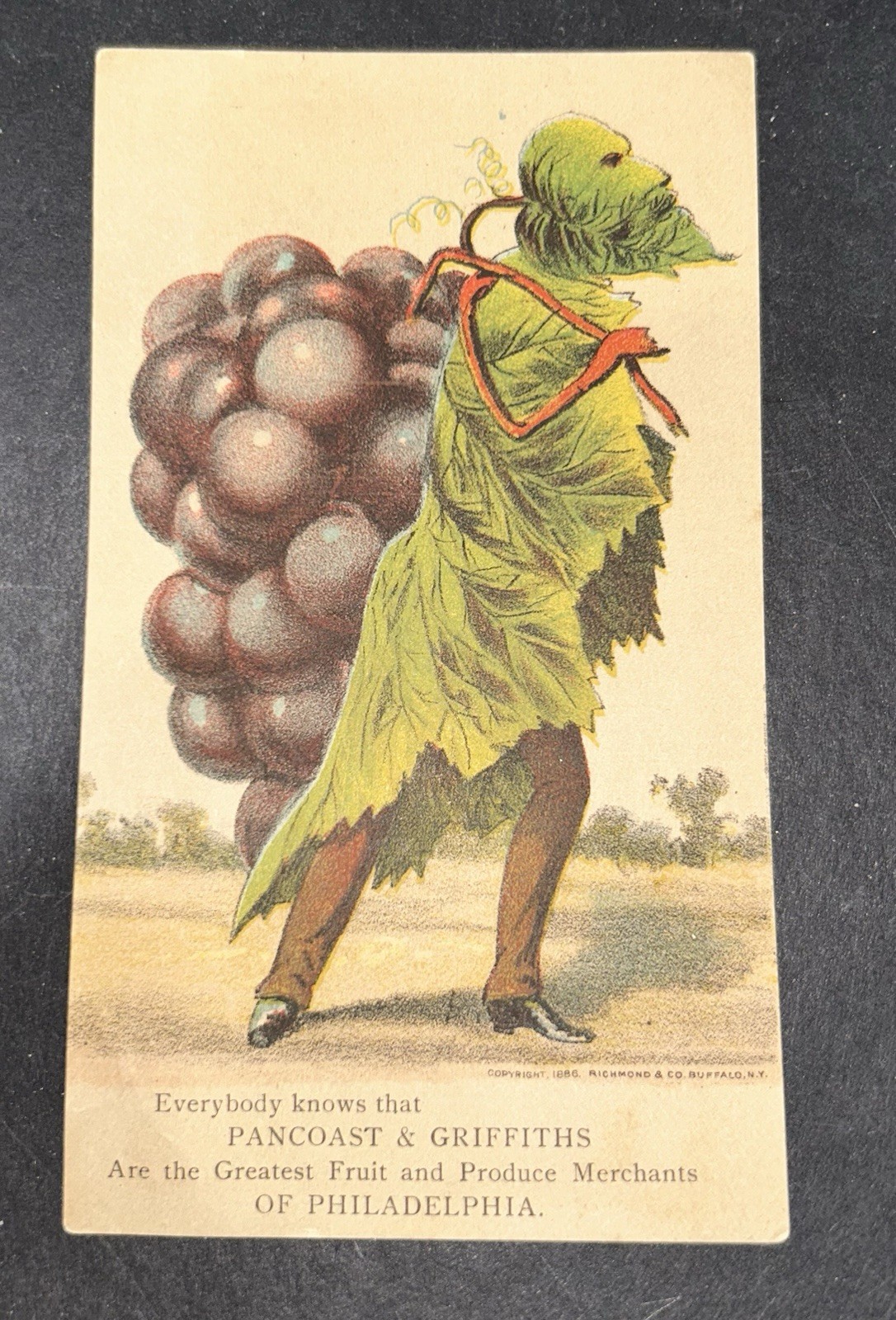Antique Victorian Trade Card Anthropomorphic Grape Vine Philadelphia Groceries!!