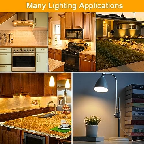 G8 Halogen Light Bulbs 35W 120V T4 JCD Type G8 Base 2 Pin Xenon 35W-12 Pack