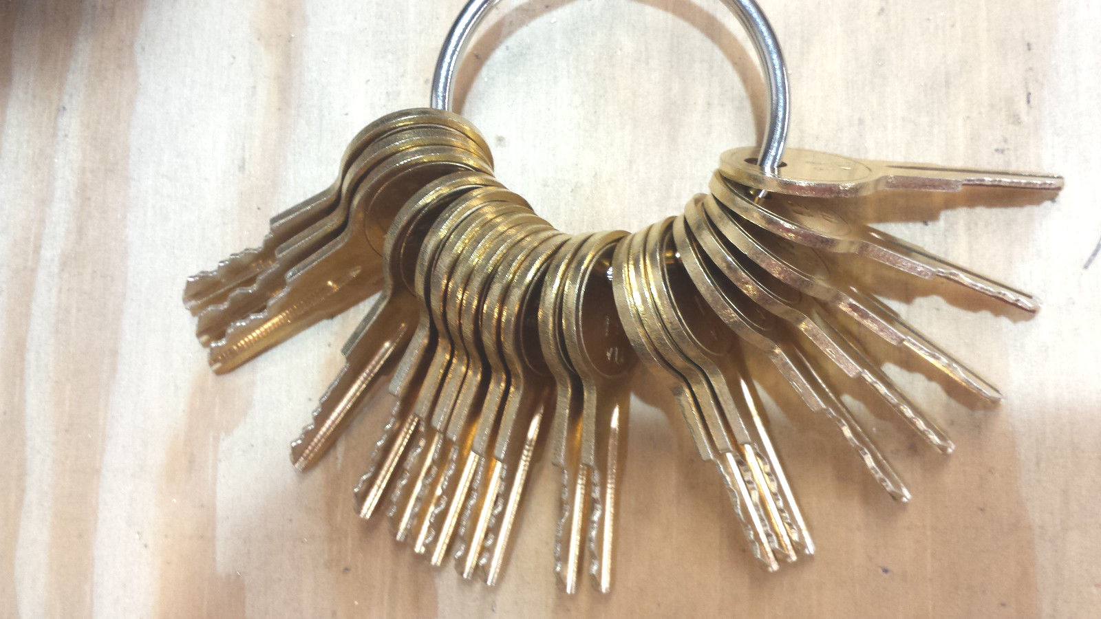 Detex Keys Full set 20 keys DT11 through DT30--CUT ON NEW BLANKS BY LOCKSMITH