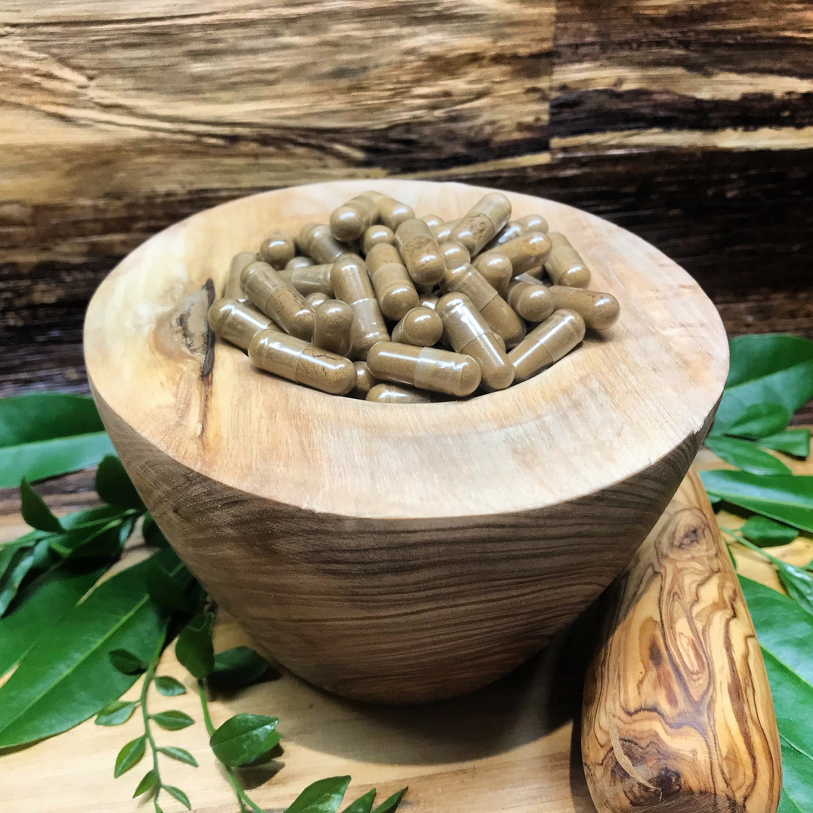 Akuamma seed capsules Picralima nitida extract 20-1 ratio