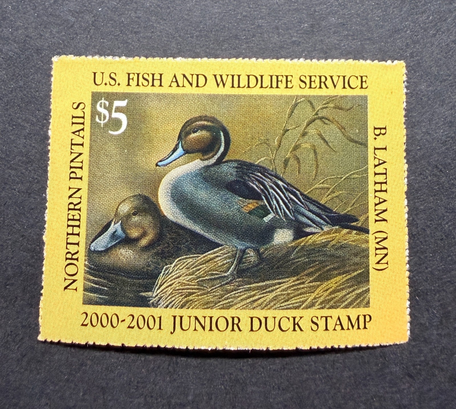 WTDstamps - #JDS8 2000 - Junior Duck Stamp - Mint OG NH - **Post Office FRESH**