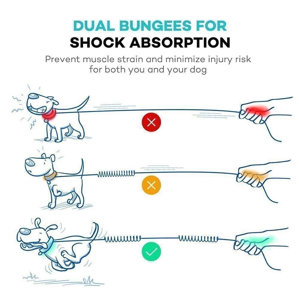 Dog Leash Belt Hands Free Running Jogging Walking Waist Pouch with Bungee Leash