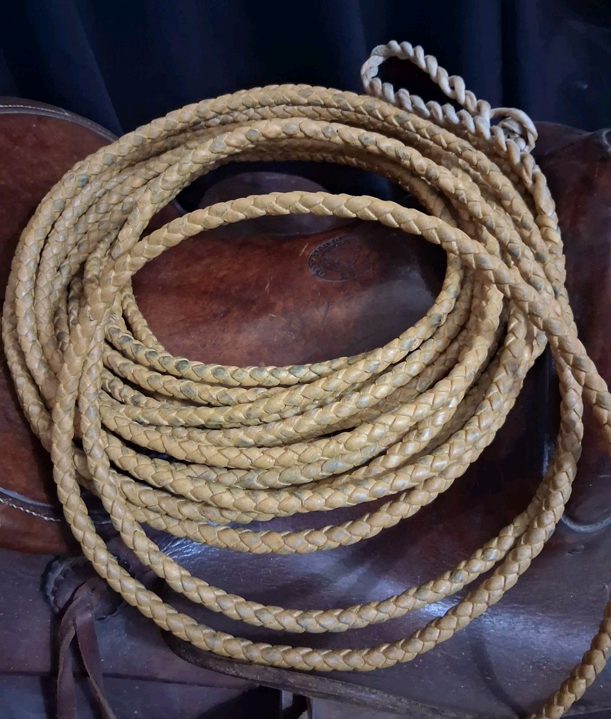 Vintage Rawhide Leather Riata Lariat Lasso