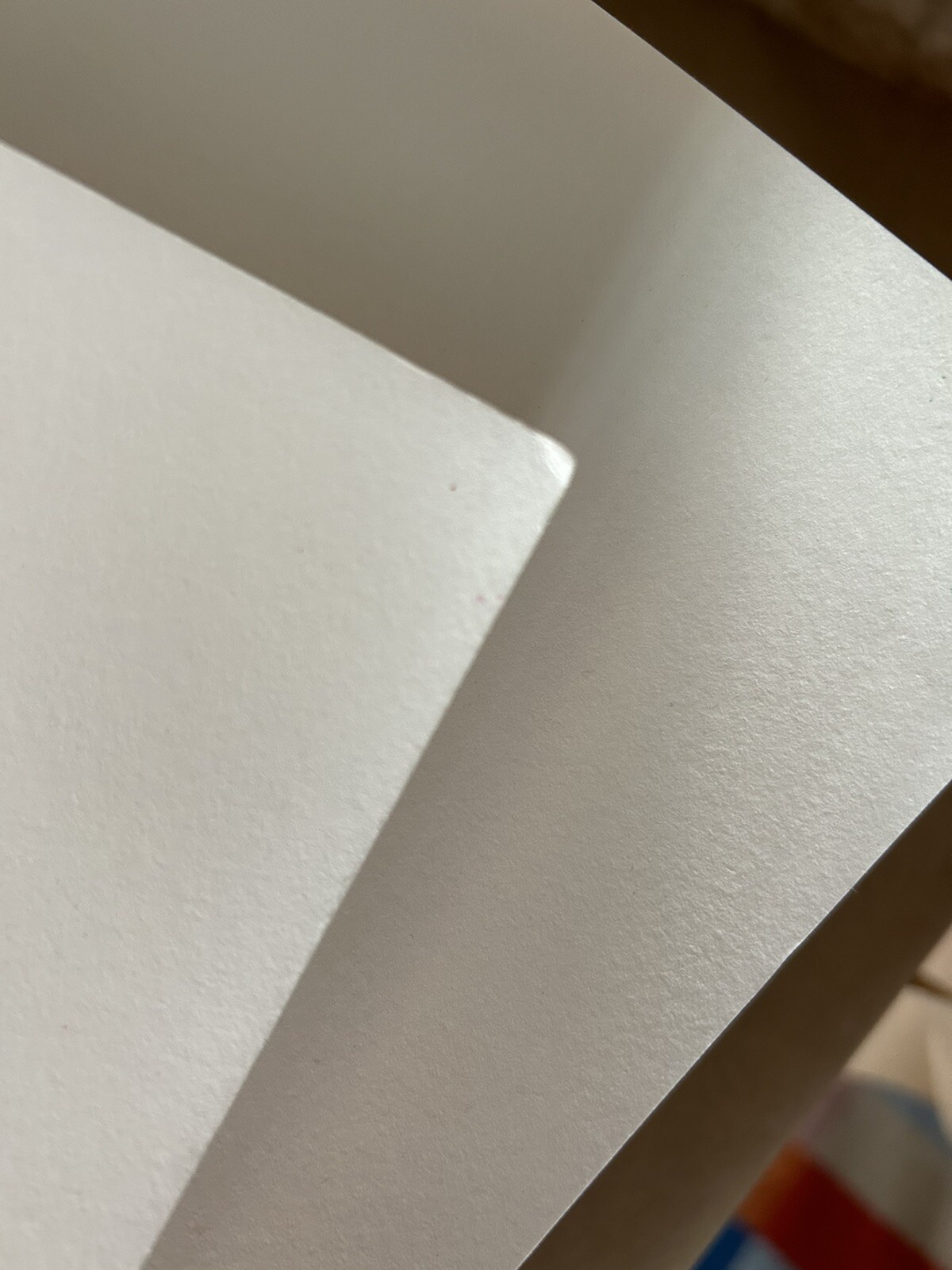 Stanley Mouse POSTER Kelley Hand SIGNED FD29 Janis Joplin Big Brother #d Print