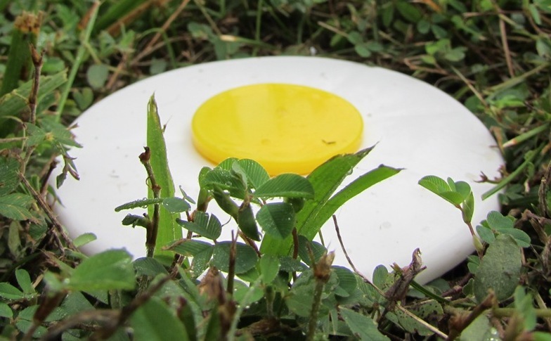 Batting Cage Frame Kit 12' x 14' x 55' EZ UP & DOWN Baseball Softball Frame Kit