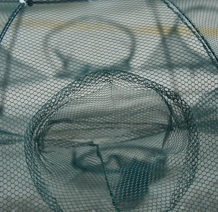 ✅ SET OF 4, 8 Hole Crayfish Trap Crawfish Trap Minnow Trap Shrimp Trap Crab Net