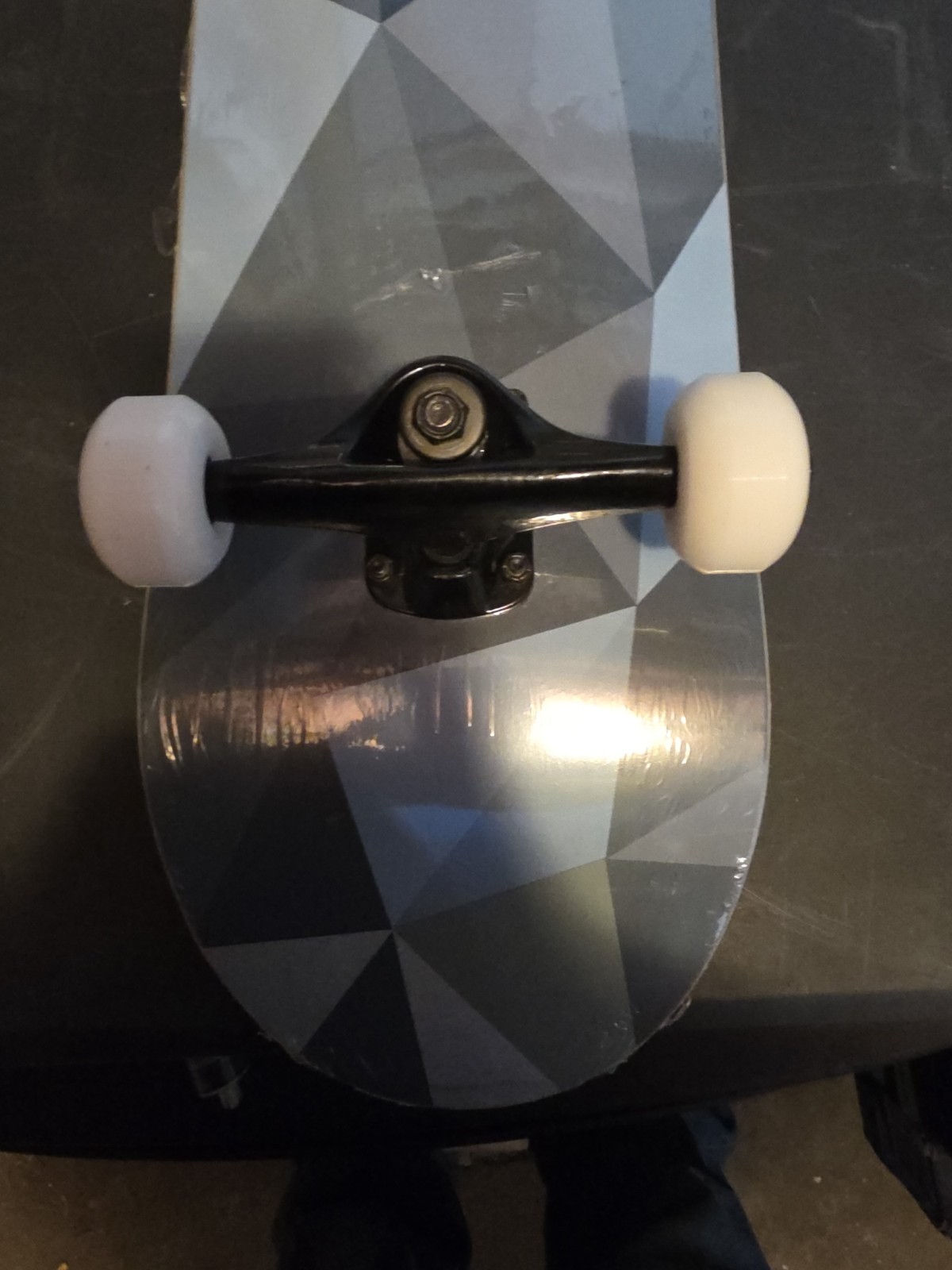 WhiteFang Skateboards, Complete Skateboard 31 x 7.88, 7 Layer Canadian Maple