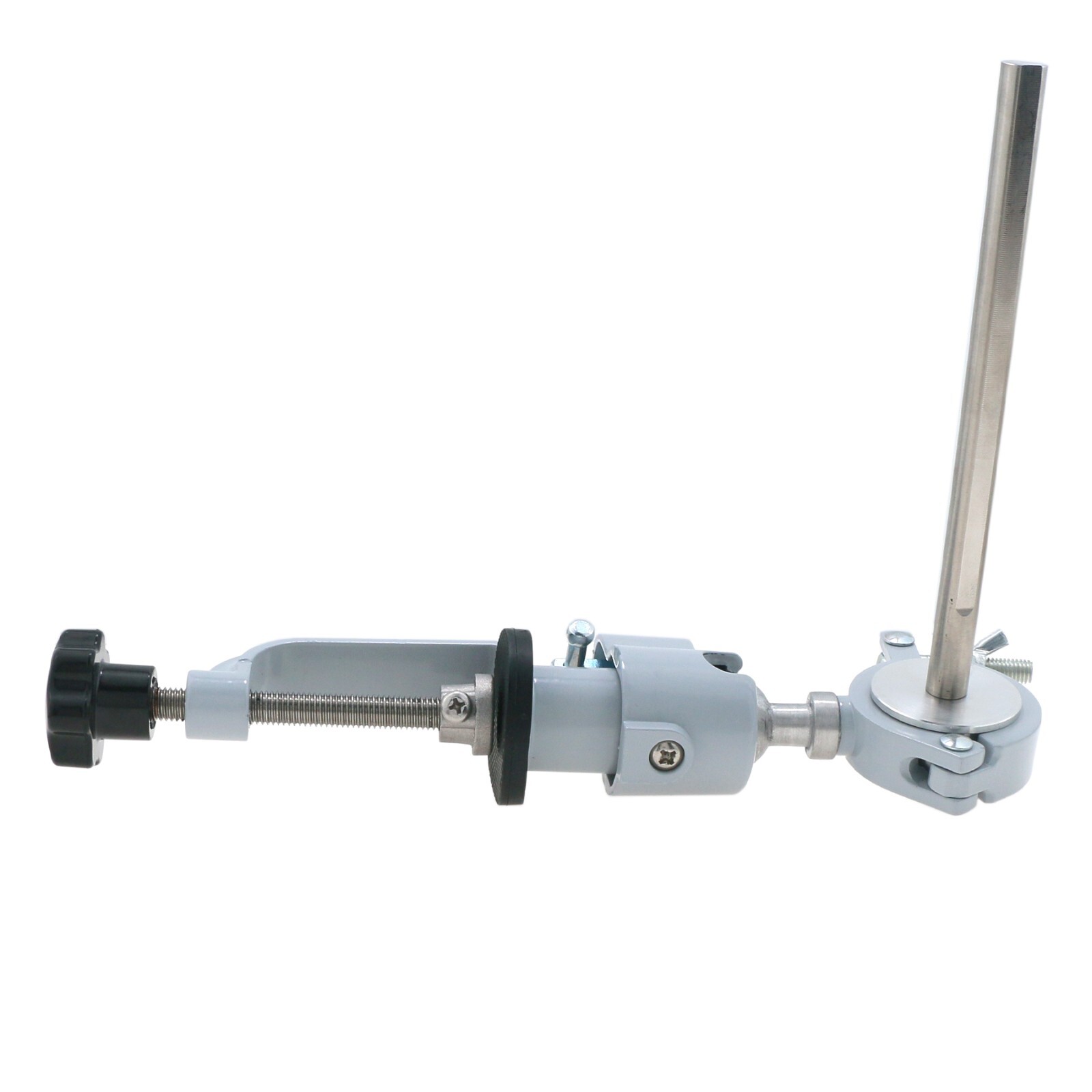 US Columbia Dentoform 860 Type Dental Typodont Model 32pcs Removable Teeth