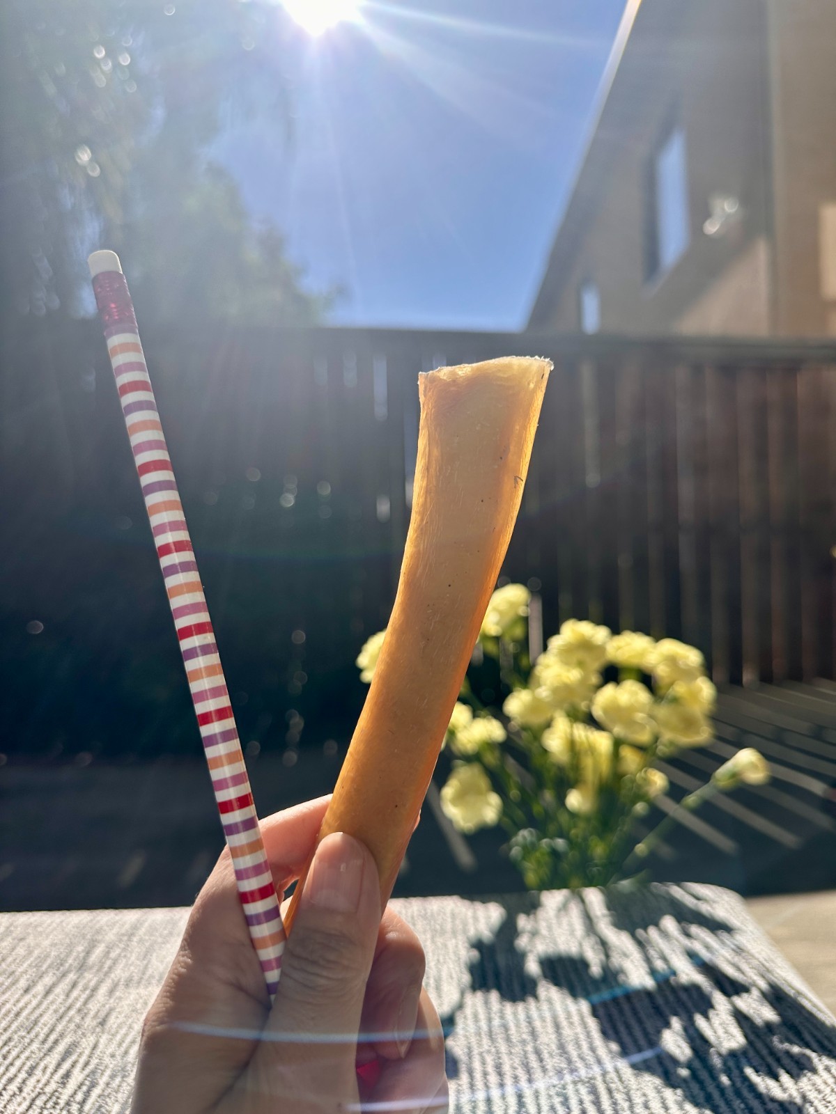 6” Jumbo Bully Sticks for Dogs – Thick, Long-Lasting Natural Chews