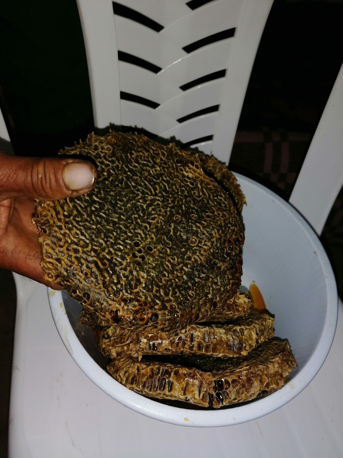 Moroccan natural bee honey