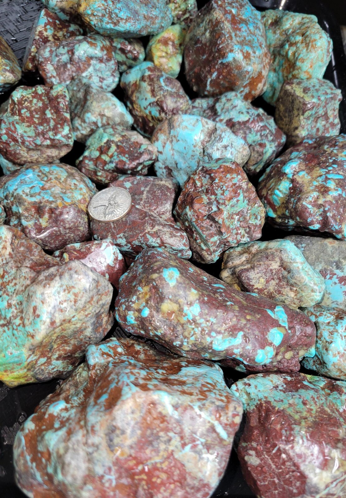 RARE Large Natural Bisbee Arizona Turquoise Rough Nuggets Half Pound