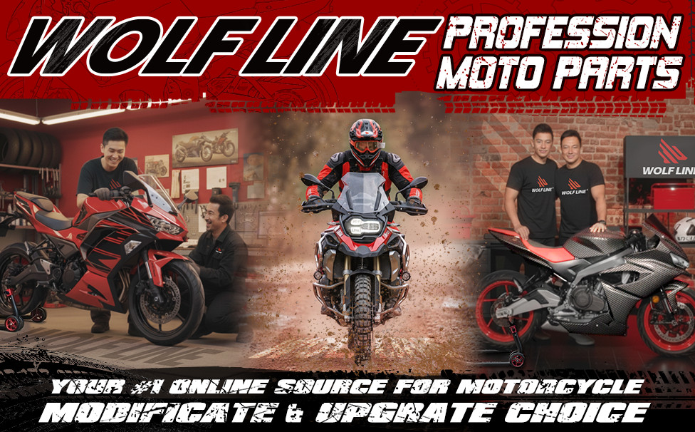 Luggage Rack for Kawasaki Vulcan S 650 VN Driver Backrest Carrier 2026 WOLFLINE