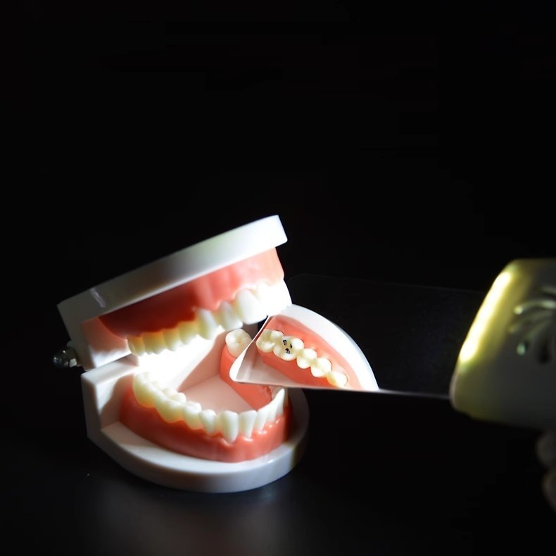 LED Dental Anti-Fog Mirrors Set Fog Free Intraoral Photography Stainless Steel