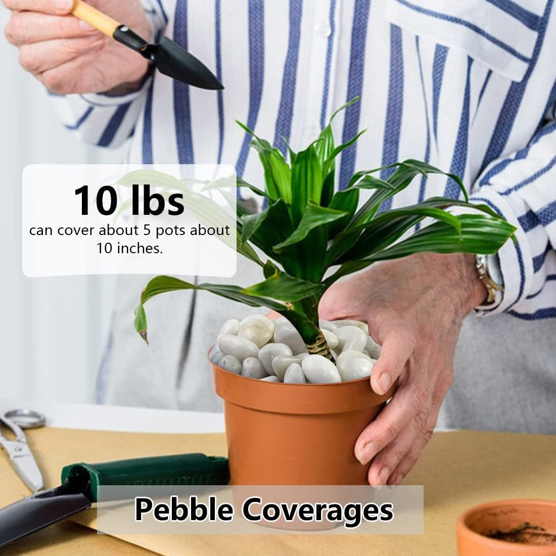 2Lbs White River Rocks, 1-2 Inch Natural Pebbles for Indoor Plants, High Polishe