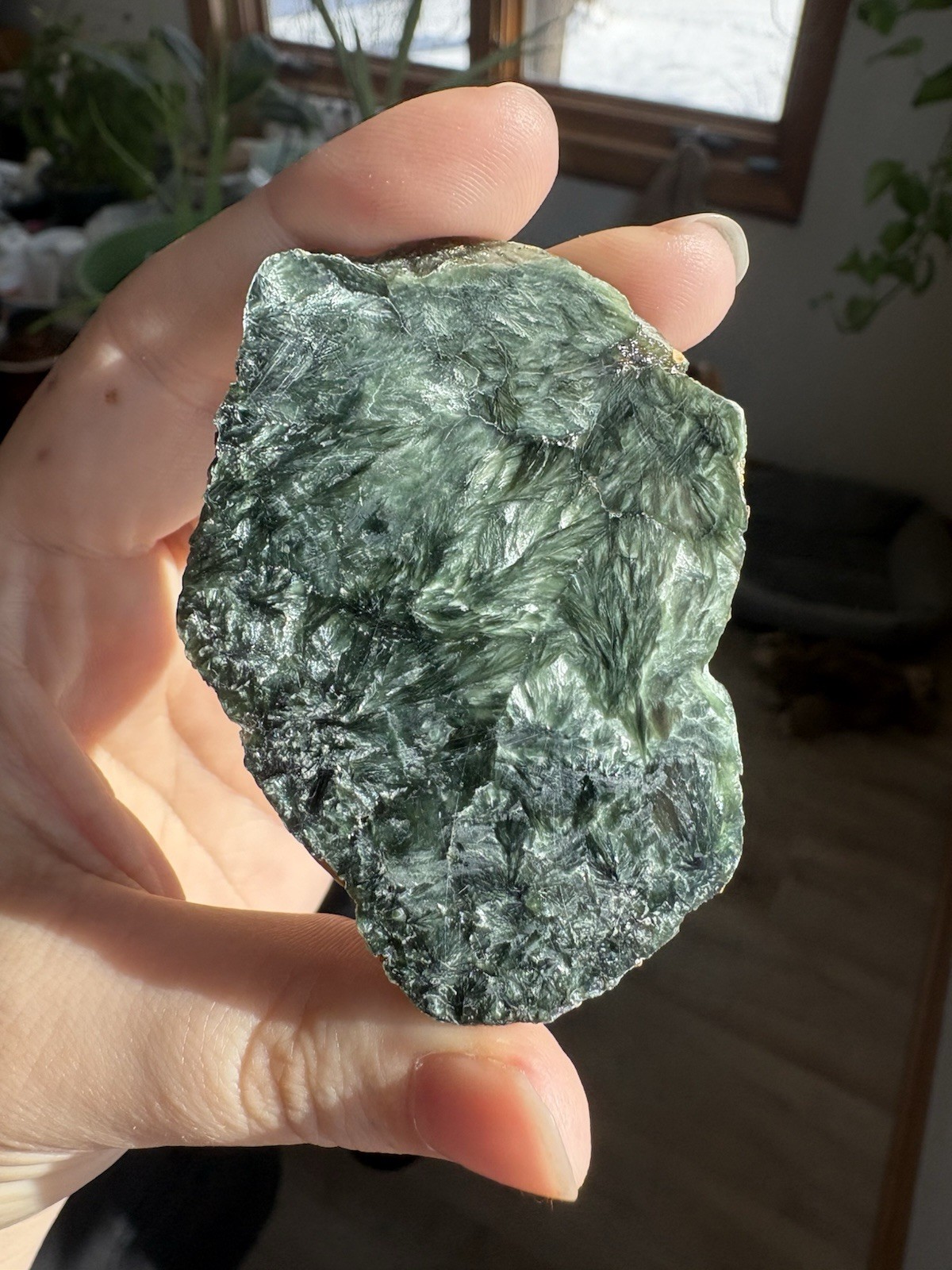 Seraphinite Slab