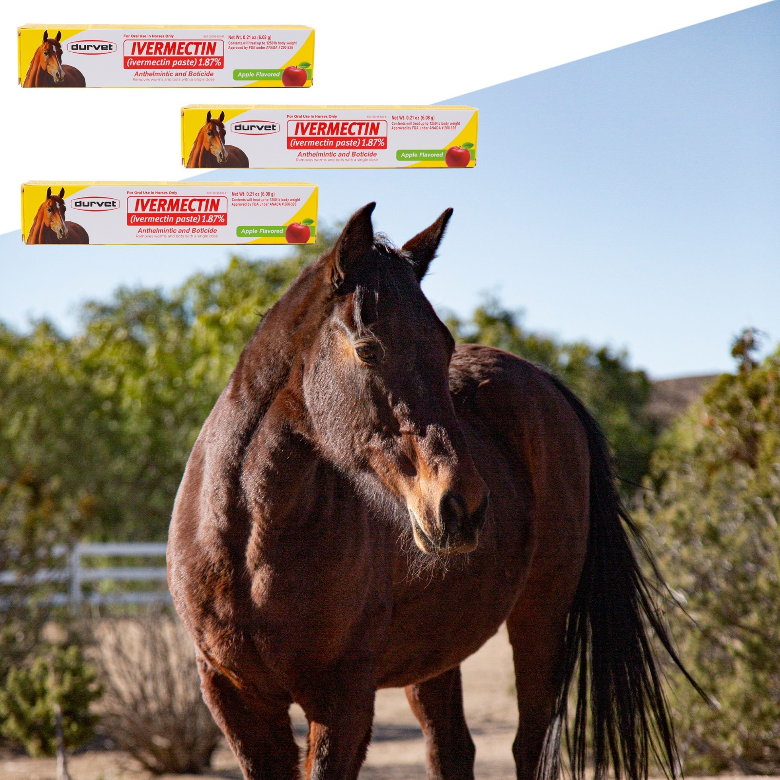 10 Pack Horse Dewormer Paste Apple Flavor Exp 04/2026 Near Expiry