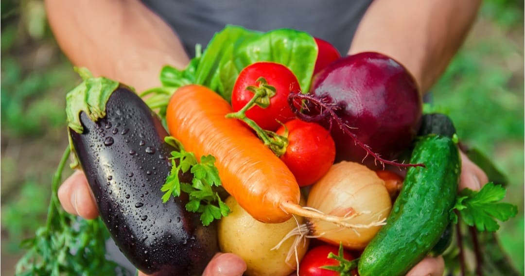 🔥5 Lbs Zip Bag GRO-POWER All Purpose Fertilizer professional fruit fertilizer