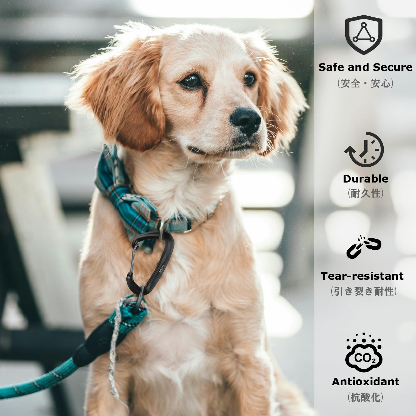 Caribeaner Clips, 12kN Heavy Duty Carabiner, Aluminum D Ring Keychain, Small ...