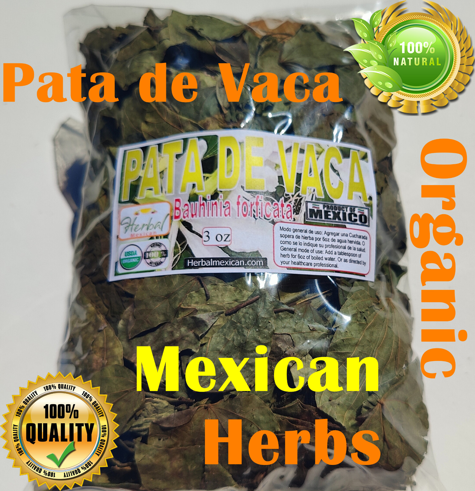 Pata de Vaca - Hojas pata de vaca - cow's foot  (Bauhinia forficata)