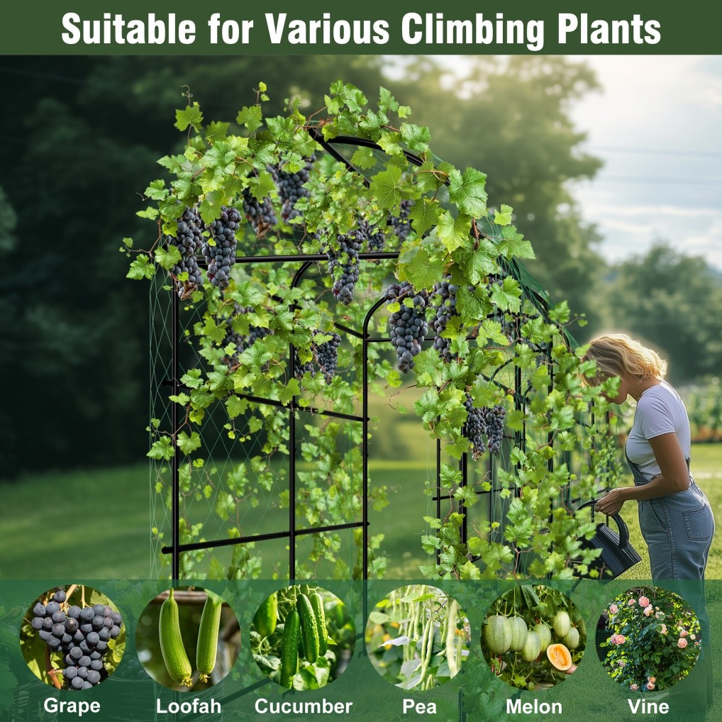 Garden Trellis Tall Cucumber Trellis Arch for Climbing Plants w/ Trellis Netting