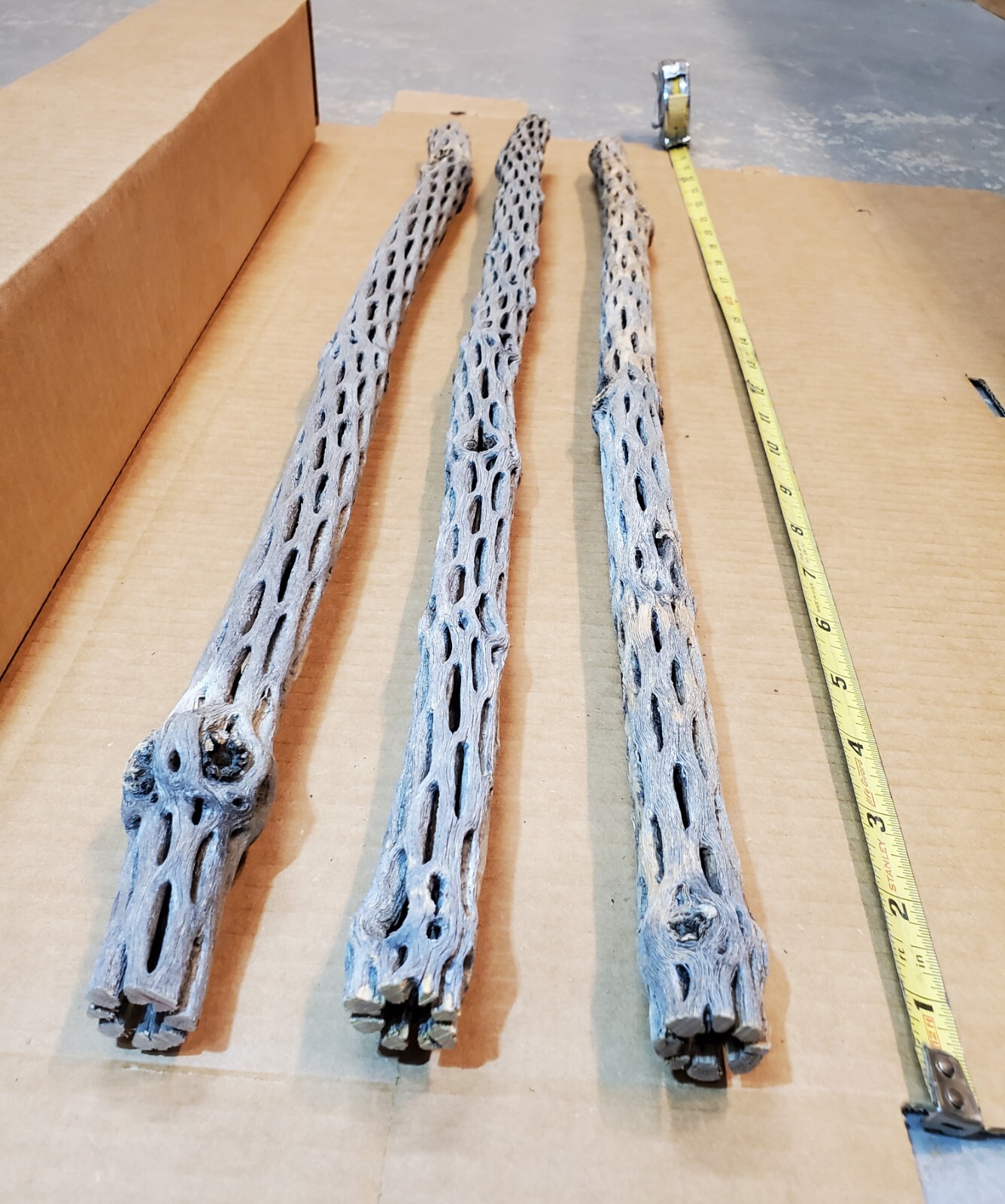 NEW! 3 CHOLLA Wood Pieces 24" inch EXTRA LONG Straight | Organic Aquarium Craft