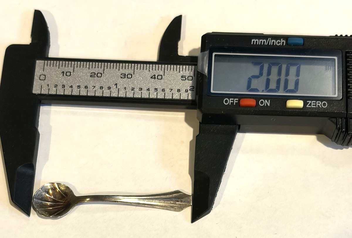 Set 6-ANTIQUE WEBSTER STERLING Open Salt Cellars /Shell Spoons-Orig Display Case