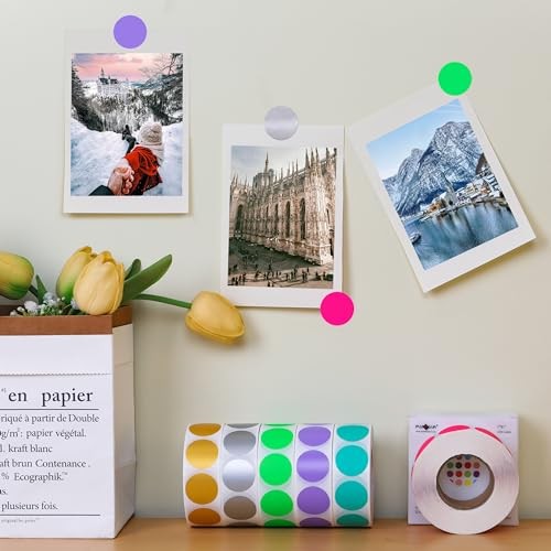 1" Round Color Coding Circle Labels, 1000 per 1 Roll-1000PCS Fluorescent Pink