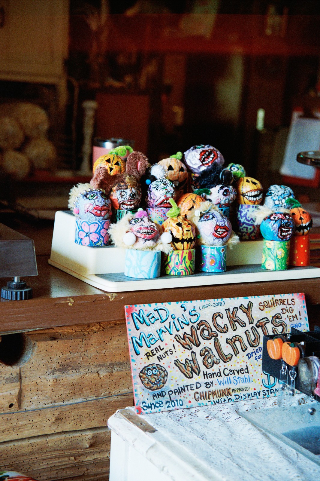 NIGHT ALIEN - 35mm Color Negative High Speed Film 800D - 36 exp C-41 BRAND NEW