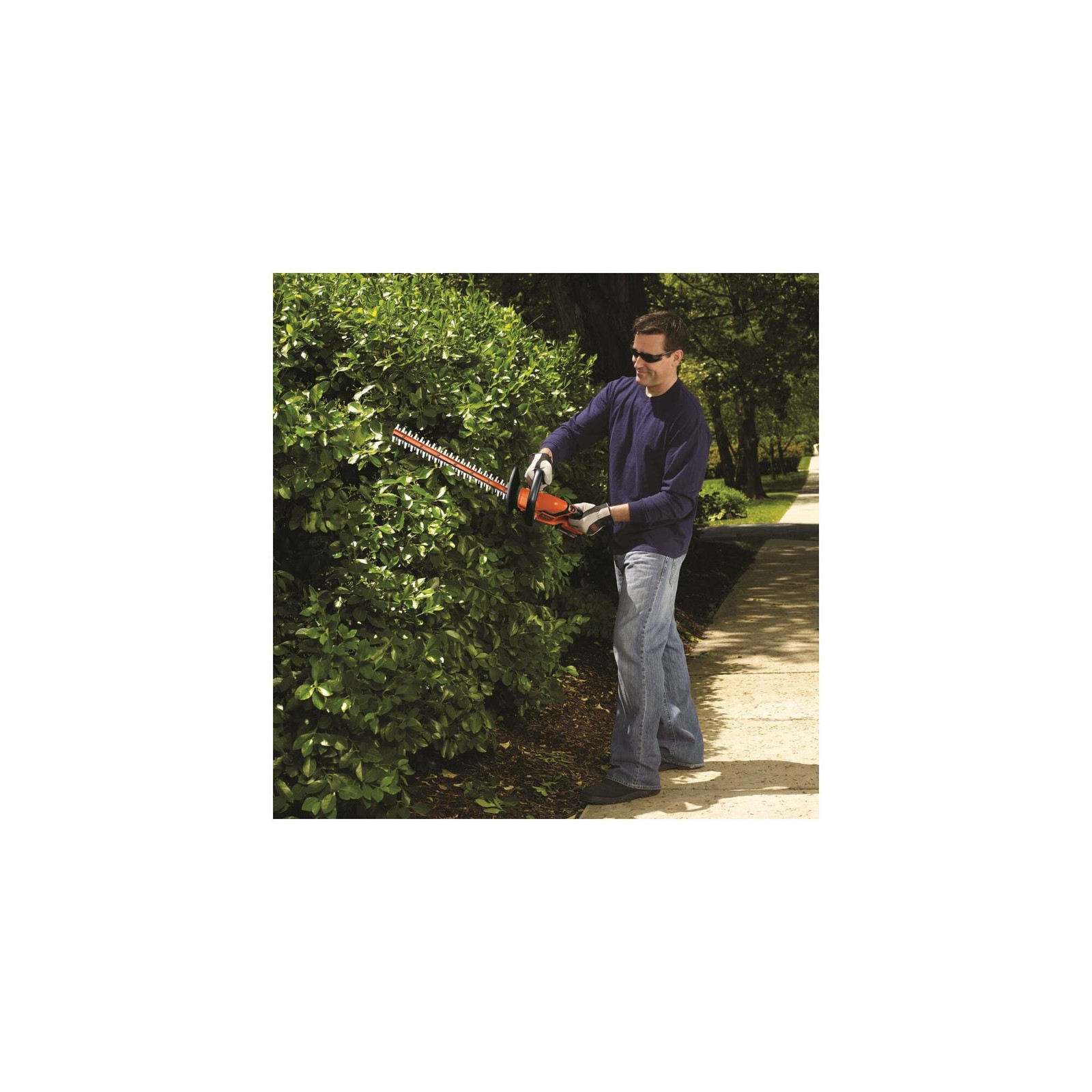 BLACK+DECKER 20V Max* Lithium 22 Inch Hedge Trimmer - LHT2220B