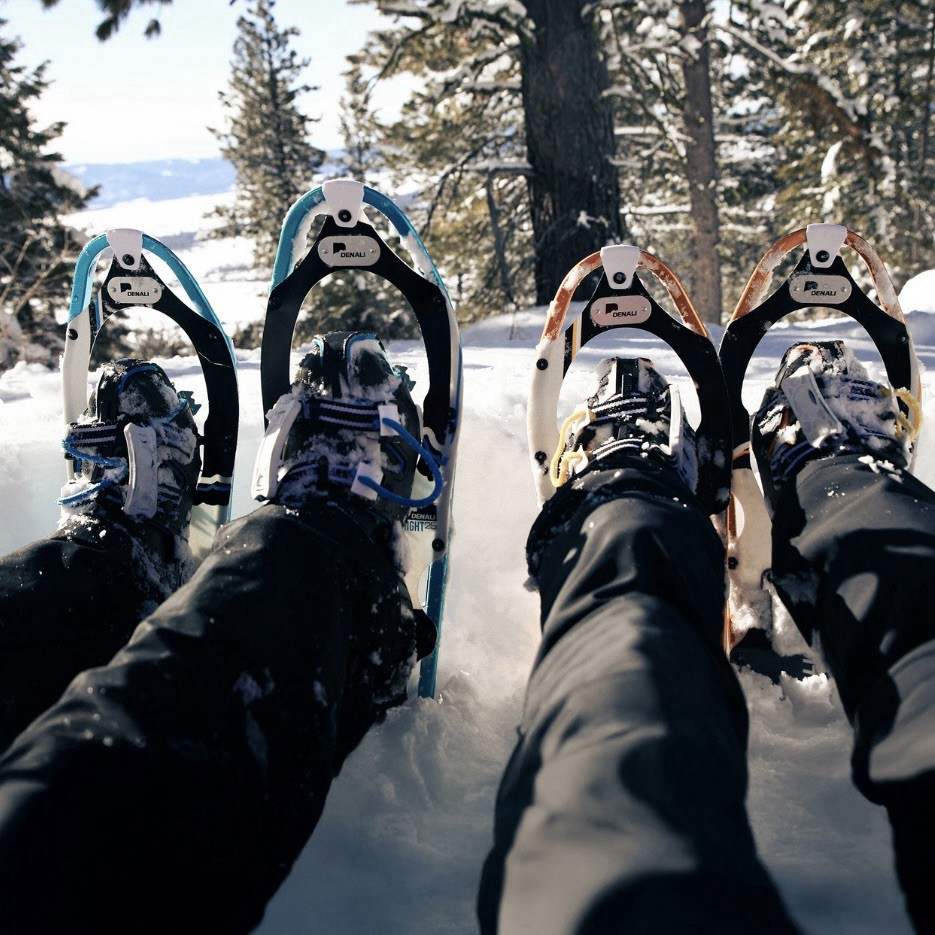 Denali Pro Snowshoes Kit 8x25 | Winter Hiking Set w/Poles, Carry Bag, 200 lb