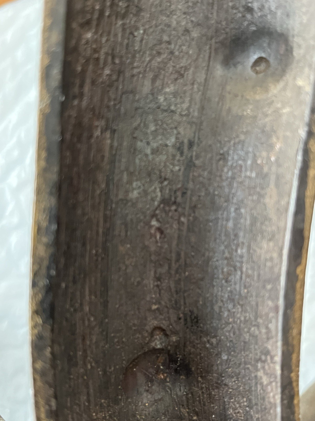 Vintage Pair Solid Bronze Gilt Magical Mystic Forest Wall Candle Holder Sconces