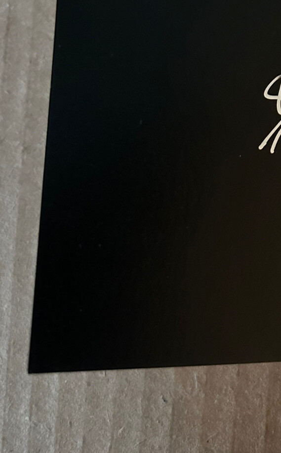 Jimi Hendrix Poster Screen Print 1990 Taz Jim Evans Signed Numbered Knight RARE