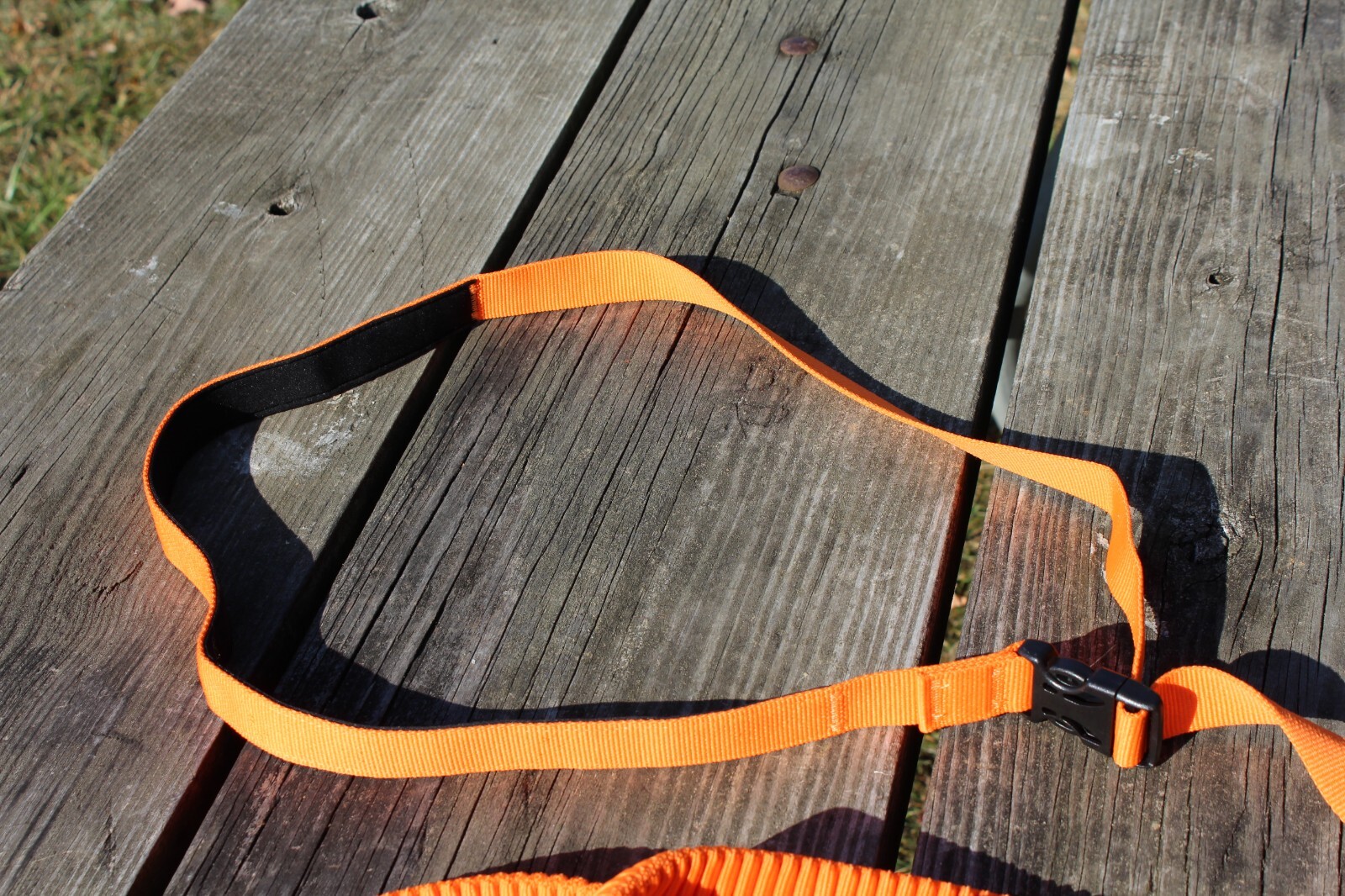 Hands Free Running Walking Dog Leash/Lead Bungee Orange Stretch