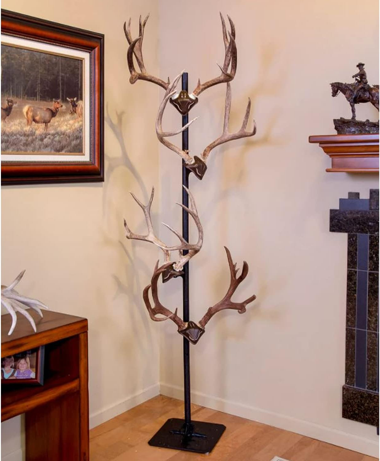 Skull Hooker Trophy Tree European Trophy Mount – Hang up to 5 Taxidermy Deer Ant