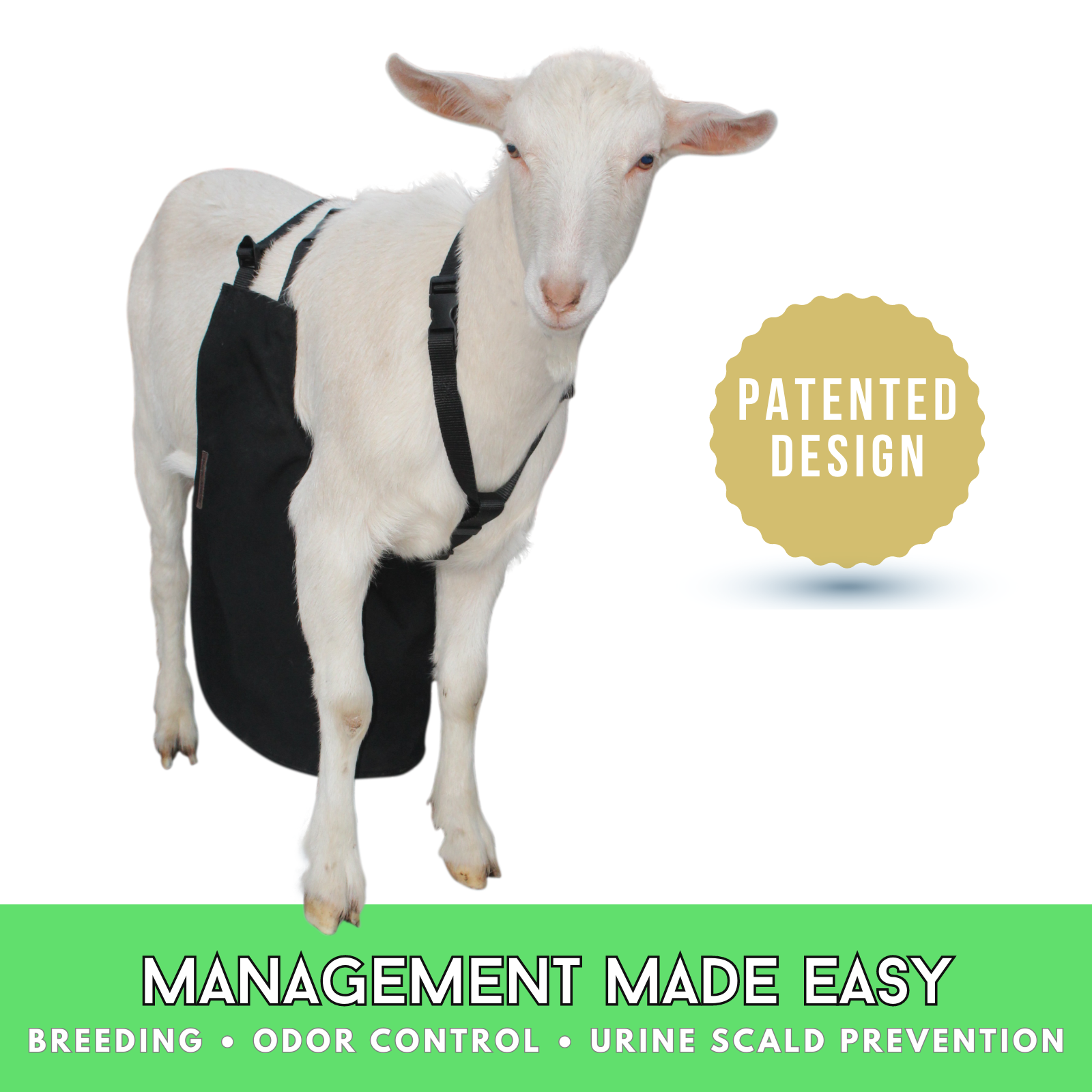 Anti Mating Anti Breeding OLOR Buck Apron™ with Harness - Goats/Sheep LG REG