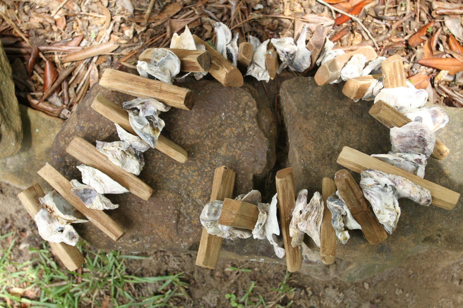 Oyster Bar Hanging Decor Oyster Shells Driftwood Garland, Natural, 33"+ G-83