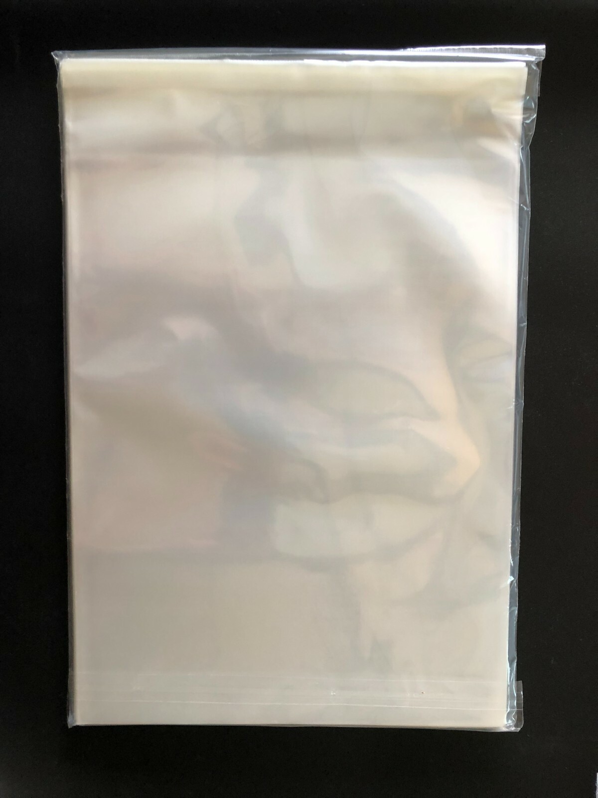 100 Resealable Book Bags 10 x 13  Archival Storage 2 Mil  Acid Free