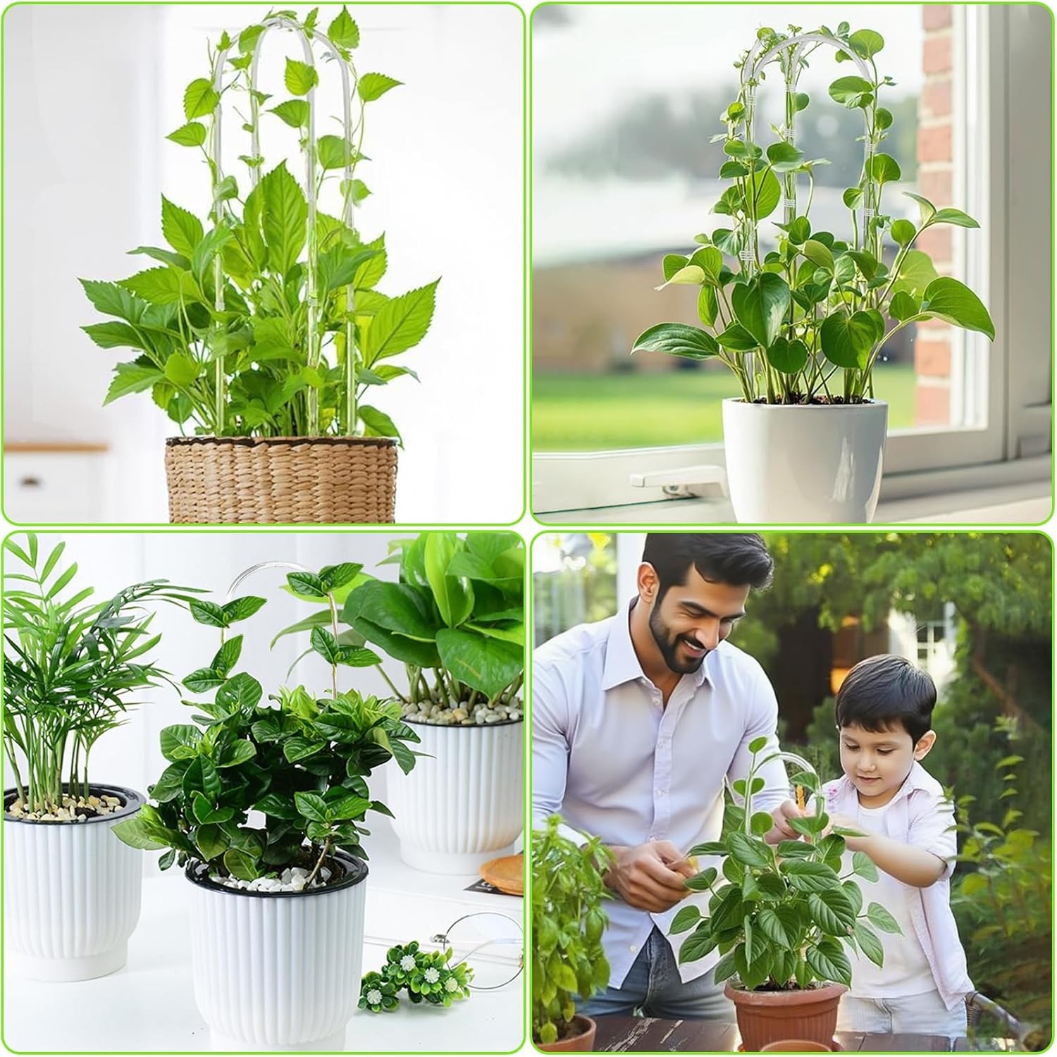 3 Pack U-Shaped Clear Acrylic Trellis 13.7" Indoor Plant Support for Hoya Pothos
