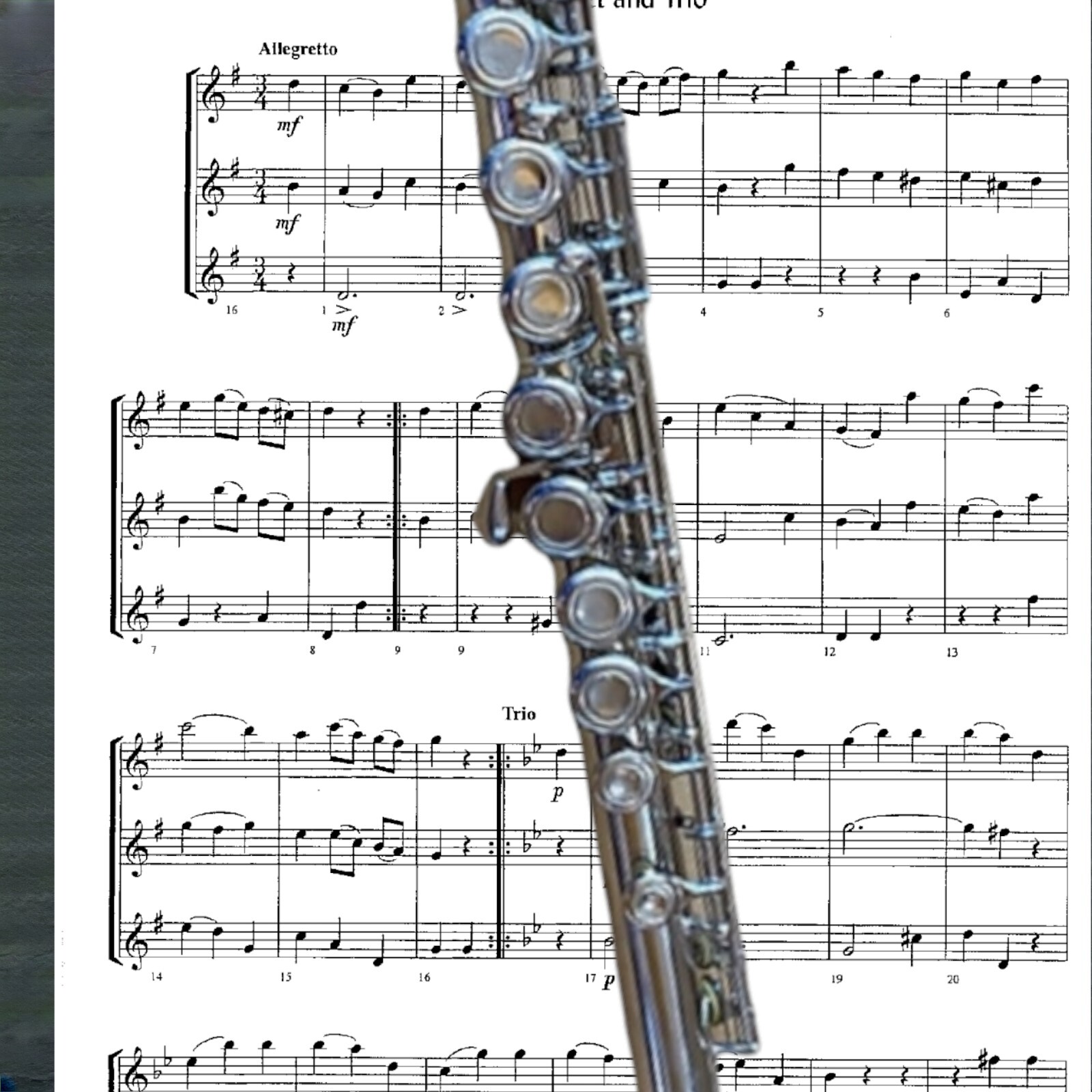 BRAND NEW PRO MARCHING BAND STUDENT/INTERMEDIATE SILVER CONCERT FLUTE-KEY OF C