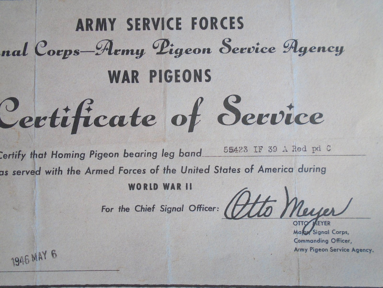 WWII US Army Signal Corps pigeon certificate of service COPY