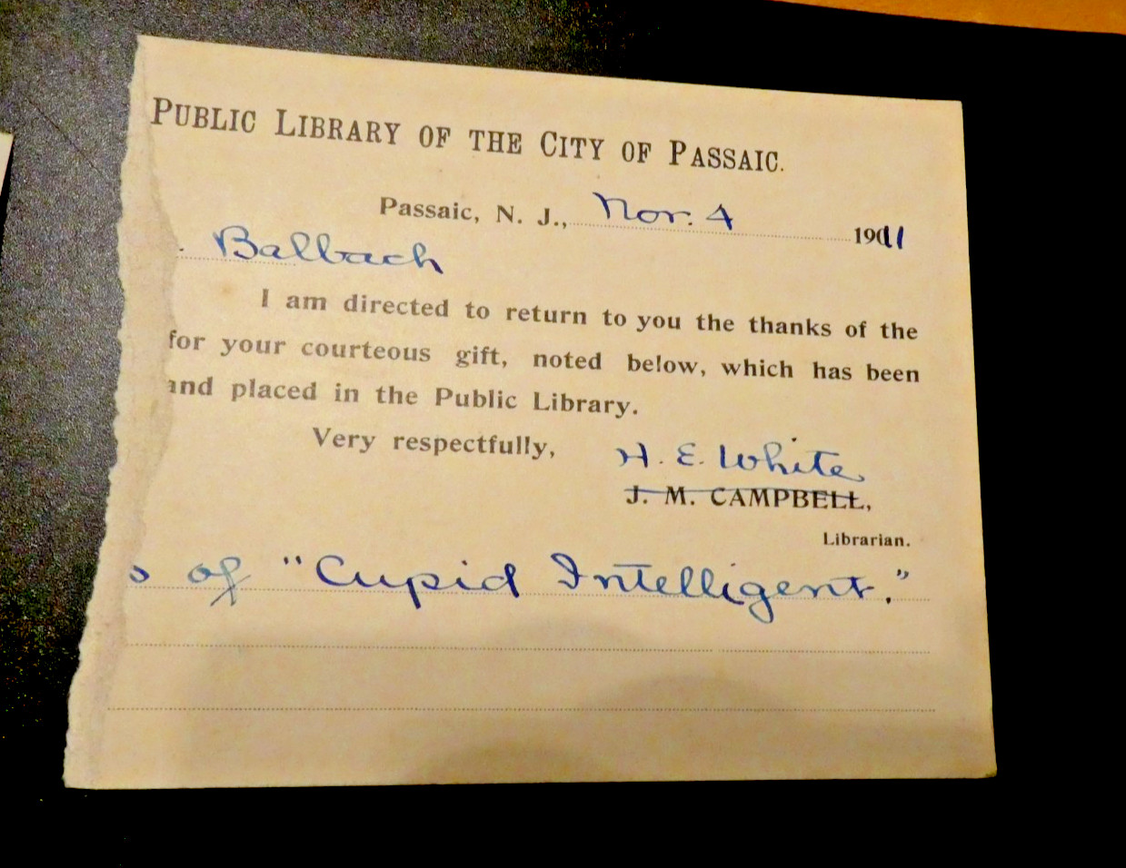 Cupid Intelligent Julia Anna Nenninger Balbach Correspondence letters