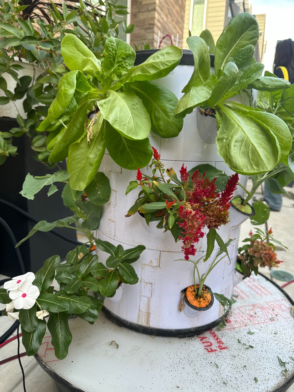 hydroponic vertical tower growing system-2025