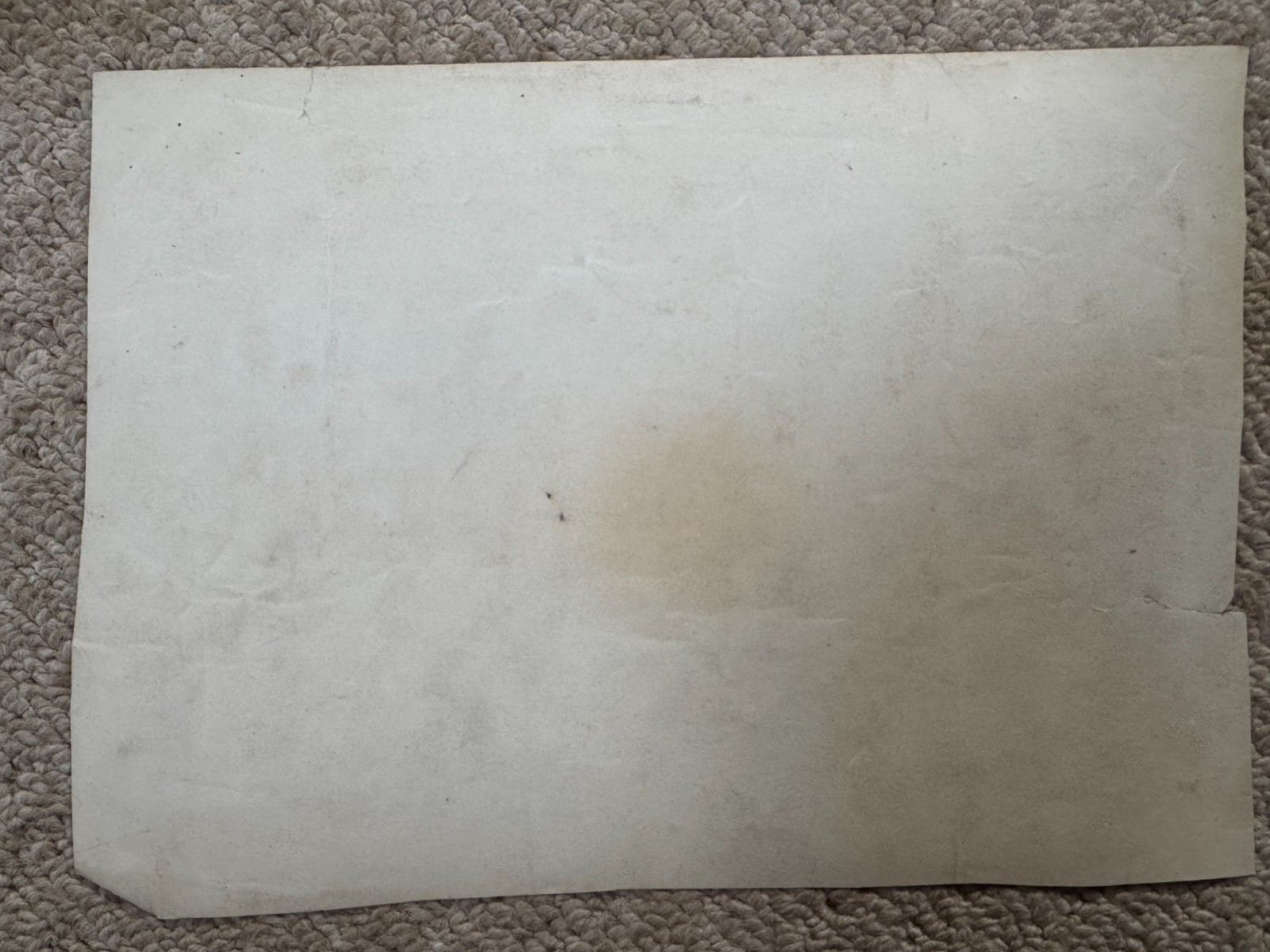 Original WW1 British India Army Group Photo c1914–18 - NCOs & Indian Soldiers