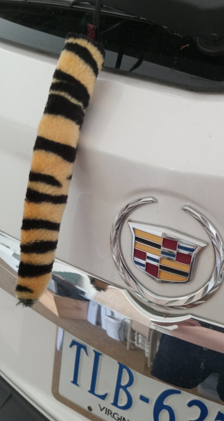 Vintage (Esso) Tiger Tail 9 1/2" Put A Tiger In Your Tank