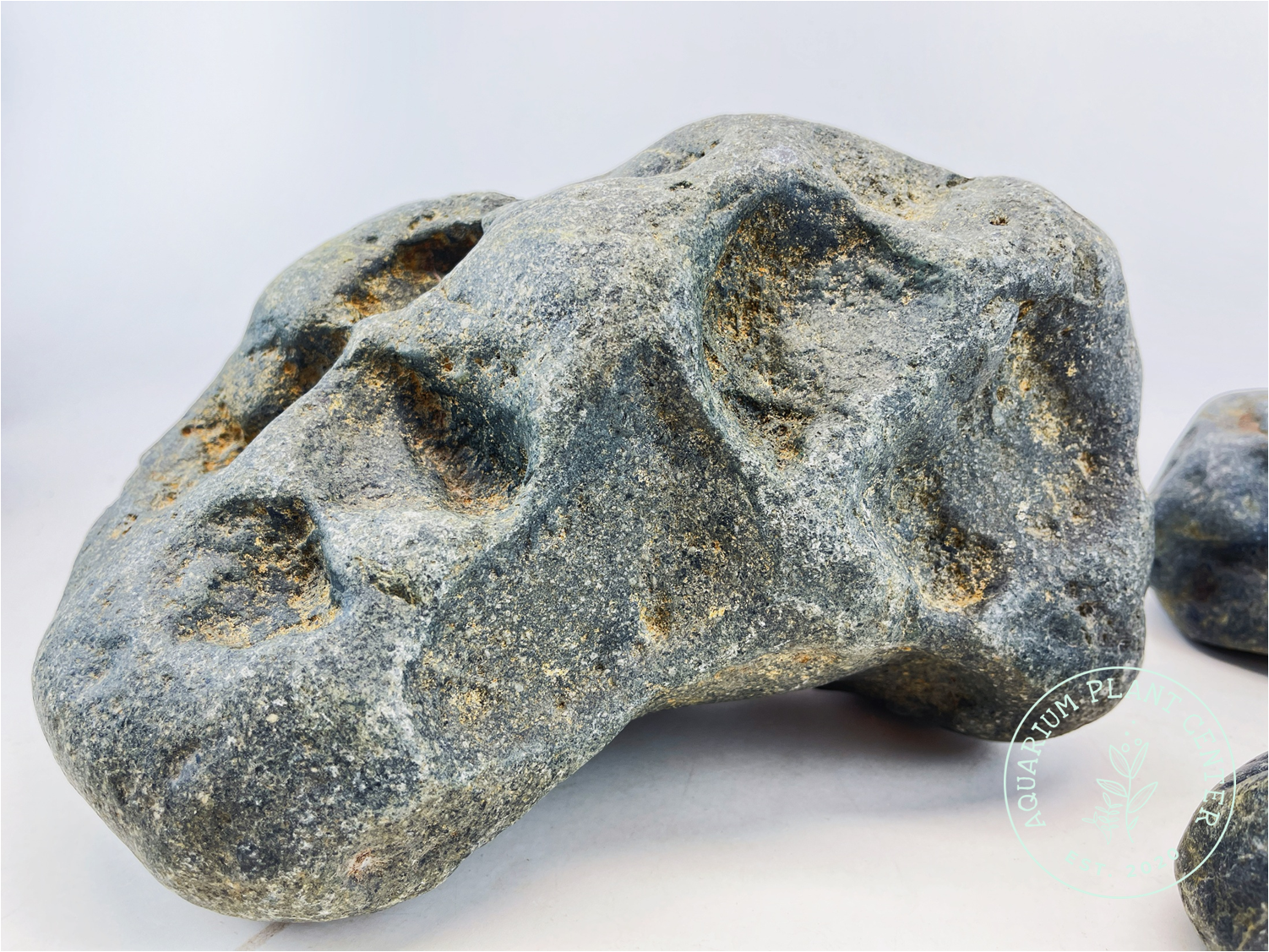 Hakkai Stone / Pahai Stone / Planted Aquarium / Decoration / Hardscape