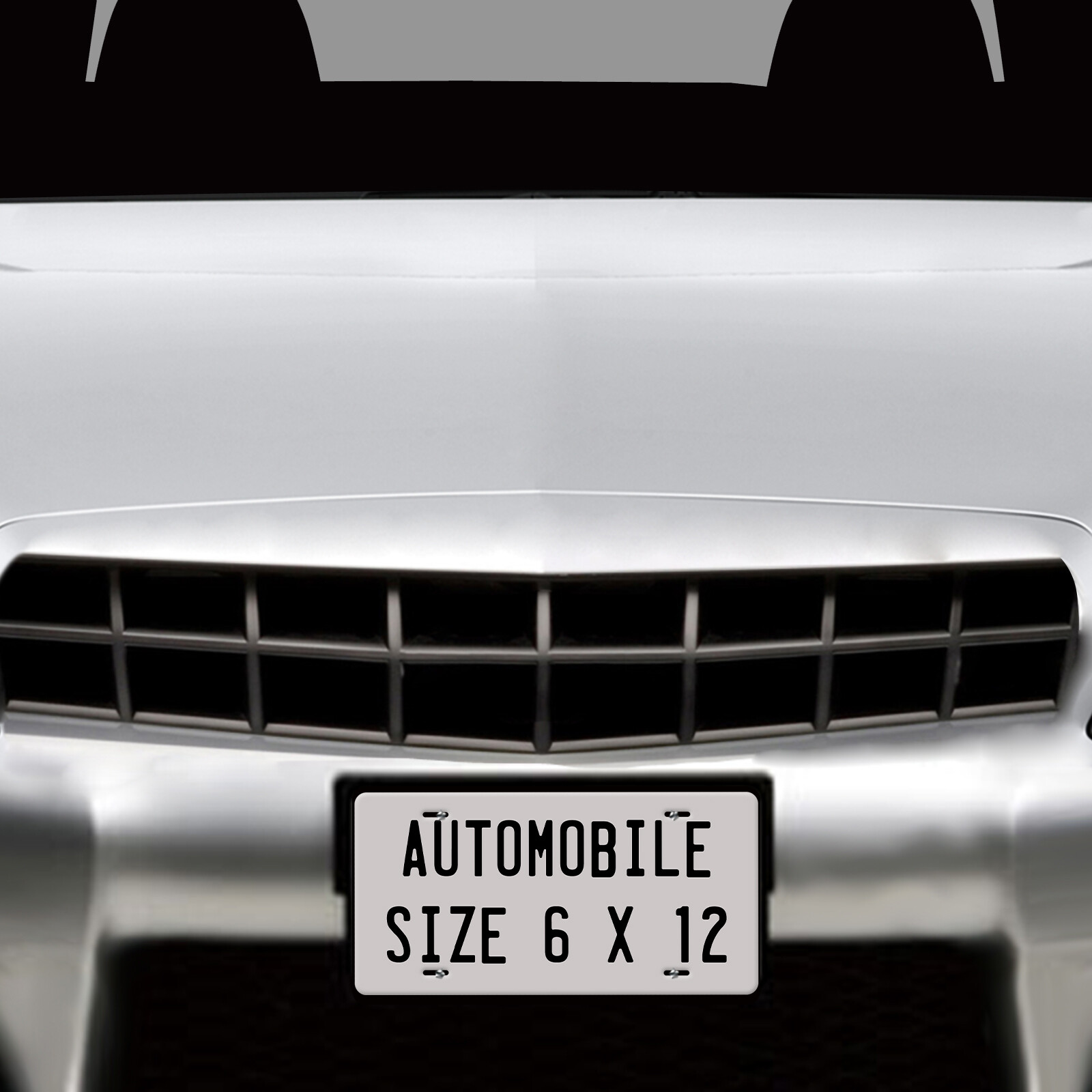 Customize LICENSE PLATE - Any State Any Color Car Auto ATV Motorcycle Wall Bike