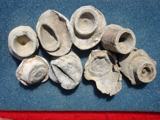 Civil War Relic Direct Hit Bullseye Mushroomed Bullet Chattanooga, Tennessee