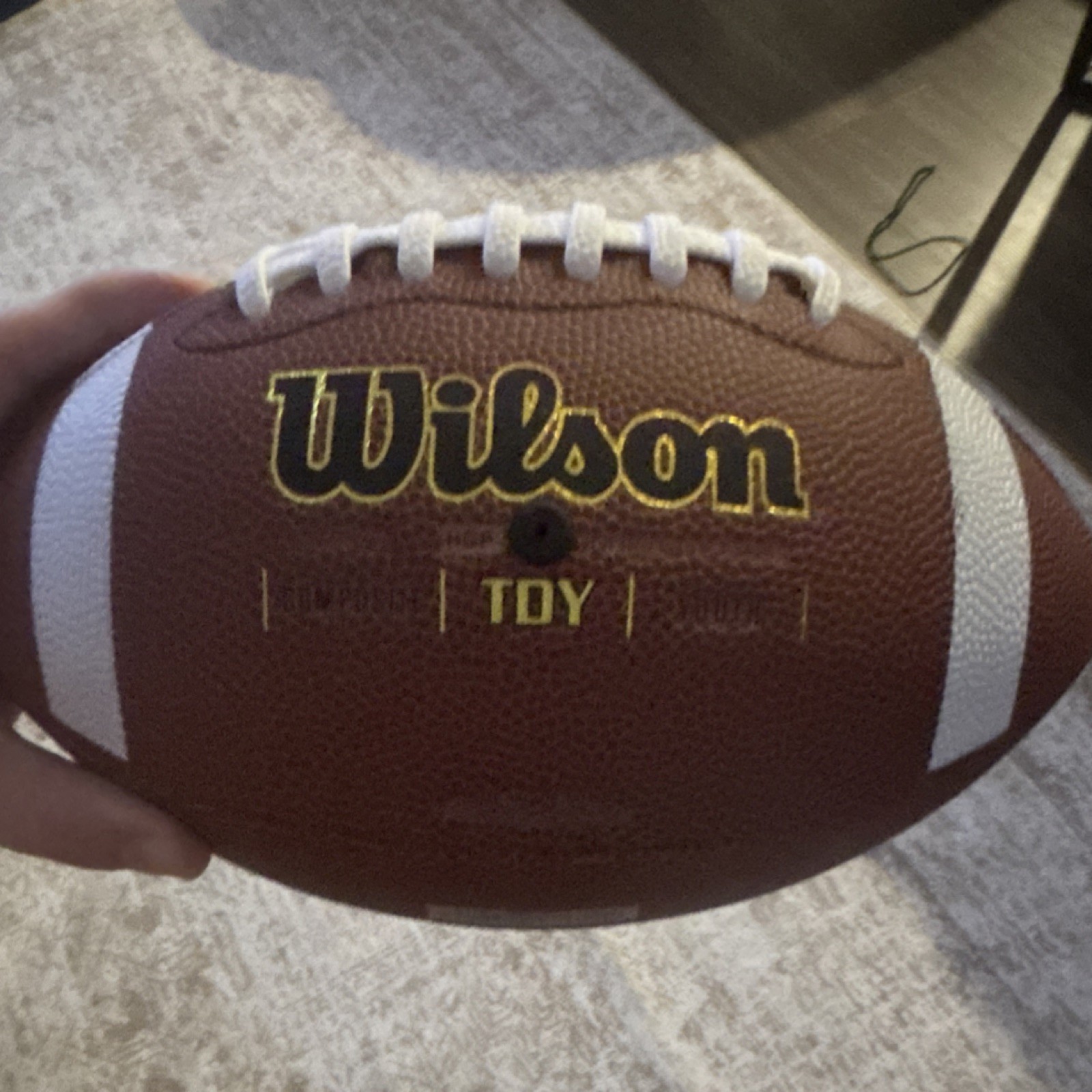 Wilson TDY Football New Football with Free Shipping