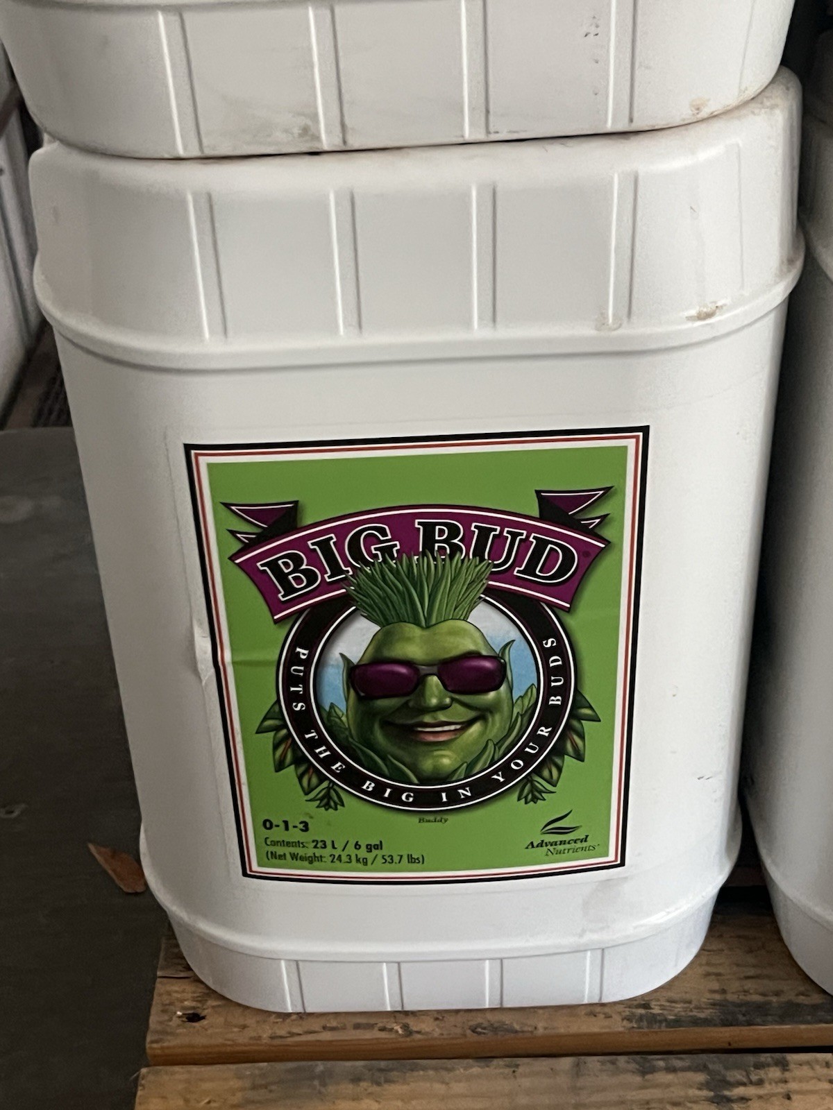 Advanced Nutrients Big Bud 23L/6G