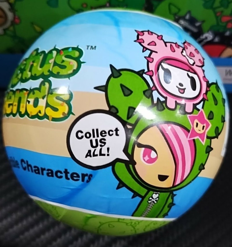 CACTUS FRIENDS Mystery Characters FULL CASE 20X Brand New In Box UNOPENED 20X